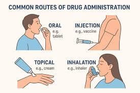 Pharmacological Routes of Administration